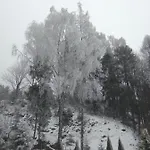 Grosik ホームステイ