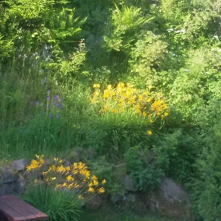 Grosik Privat bolig Krynica Zdroj