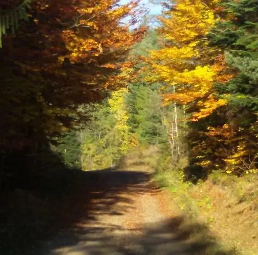 Grosik Kwatera prywatna *